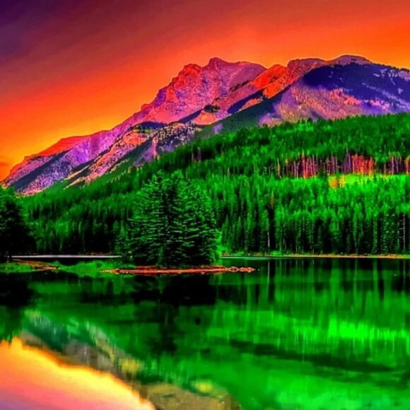 Meet your Posher, Carolina - Picture 1 of 1